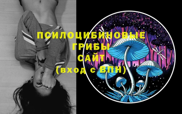 MDMA Premium VHQ Белокуриха