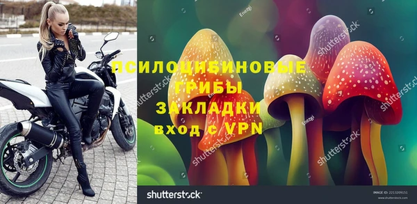 MDMA Premium VHQ Белокуриха