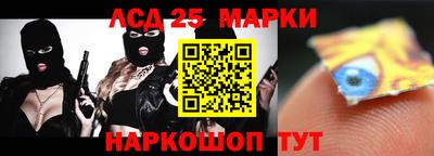 гидра Будённовск