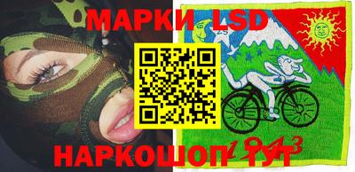 гидра Будённовск