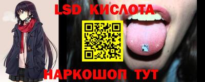 гидра Будённовск
