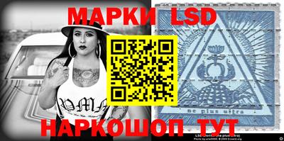 гидра Будённовск