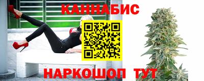 гидра Будённовск