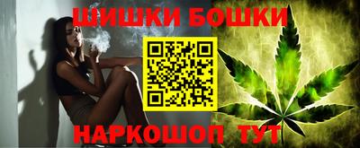 гидра Будённовск