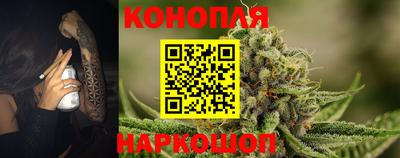 гидра Будённовск