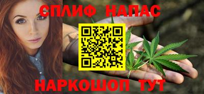гидра Будённовск