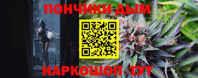 гидра Будённовск