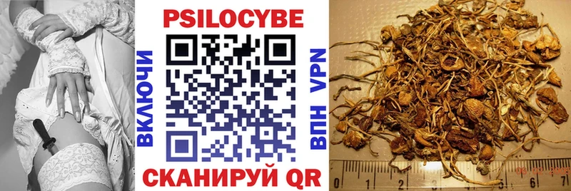 Псилоцибиновые грибы MAGIC MUSHROOMS  продажа наркотиков  Вязьма 