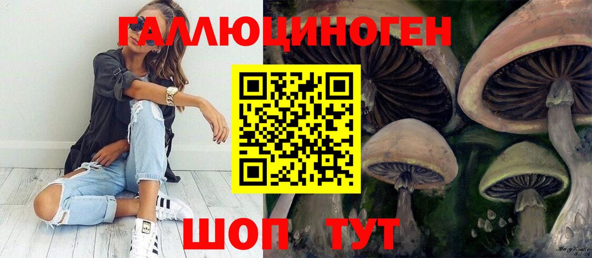 хочу   Псилоцибиновые грибы мухоморы  Вход с VPN  Вязьма 