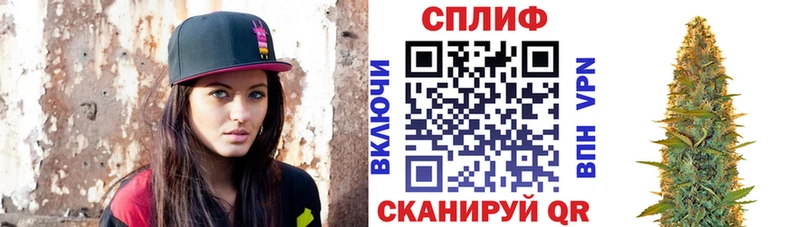 Бошки марихуана план  Вязьма 